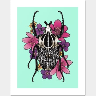 Goliath Beetle Posters and Art